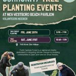 Westboro Beach Tiny Forest Community Planting Event