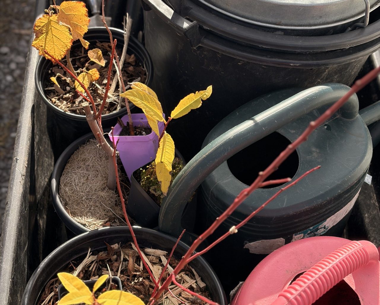 Fall 2025 Newsletter