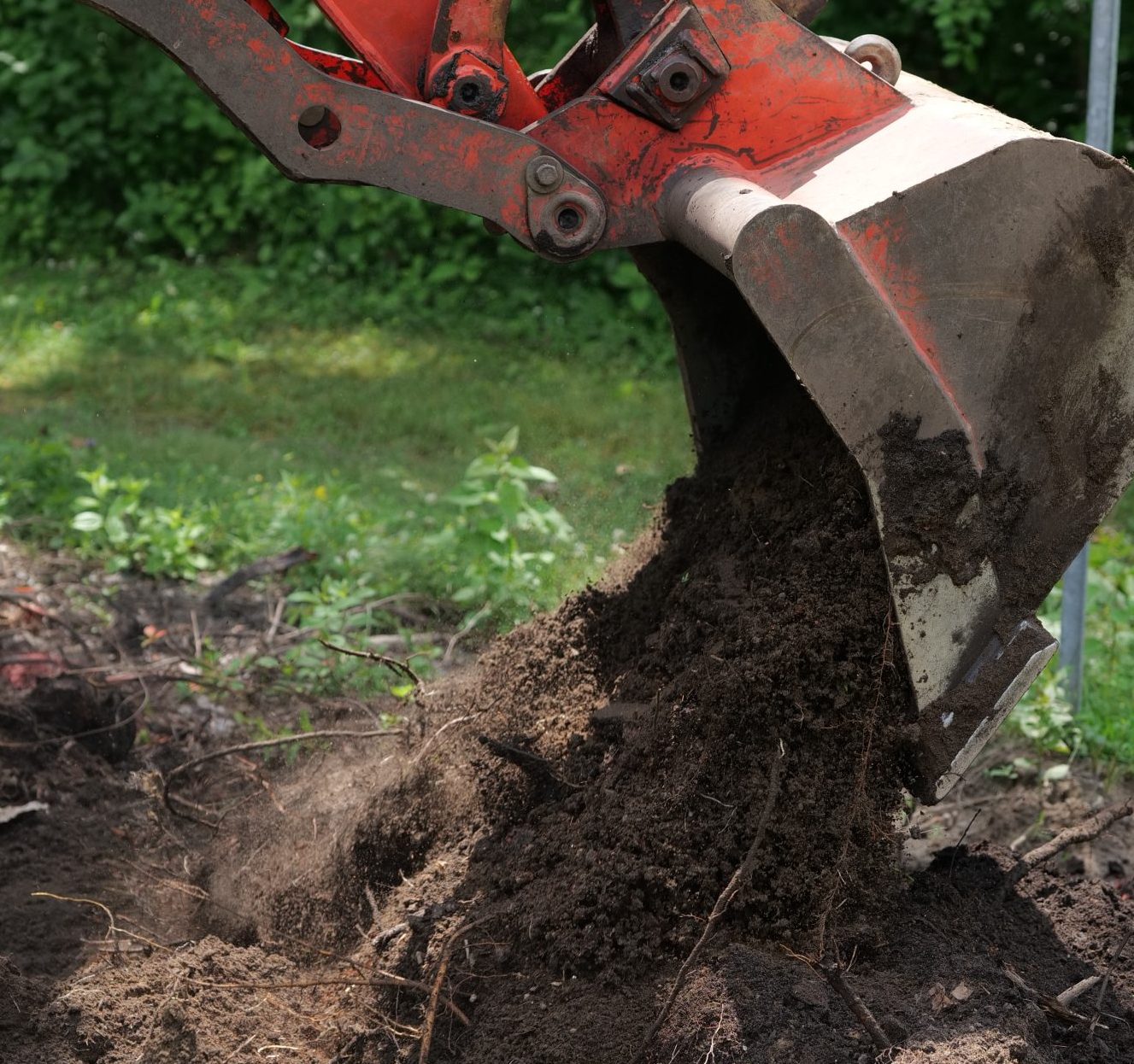 From the Ground Up: Why Soil Amendments Matter