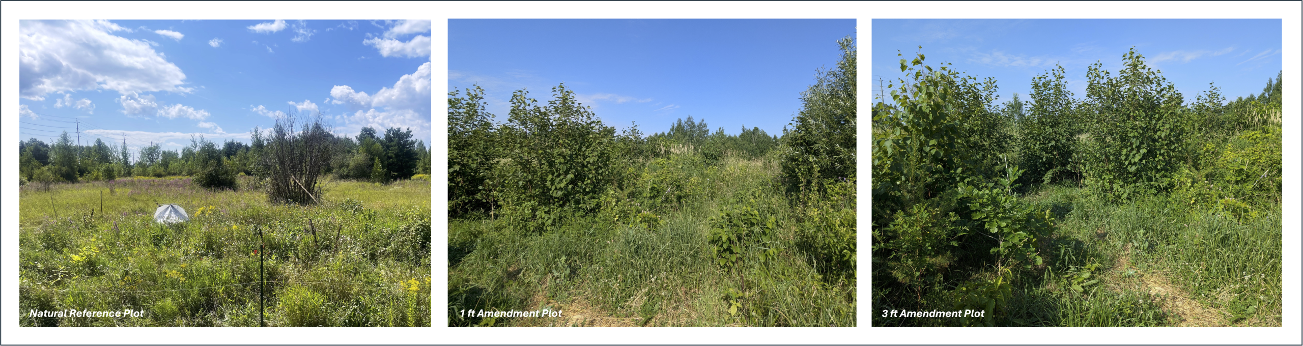 demonstration plots showing differences in soil amendments at different depths