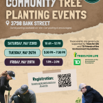 Community Tree Planting Event