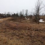 CLOSED EVENT - Resilient Trees Planting